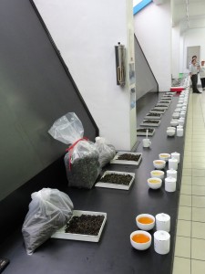 The teas lined up to be judged in regulated, competition style. The three closest to the camera were the side projects (Oriental Beauty and two black teas), which is why they are so different in color.